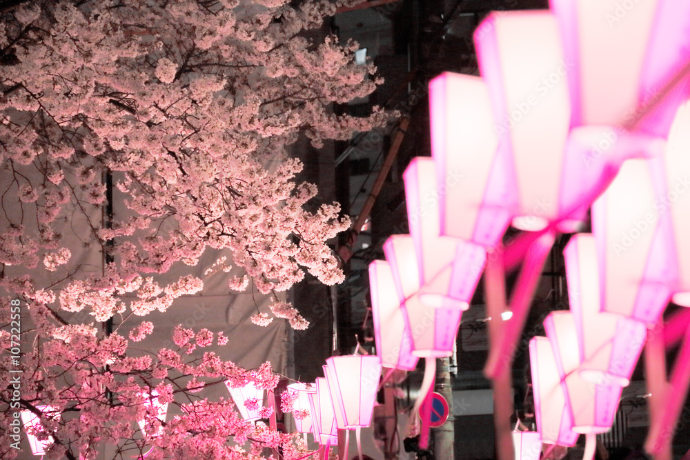 夜桜