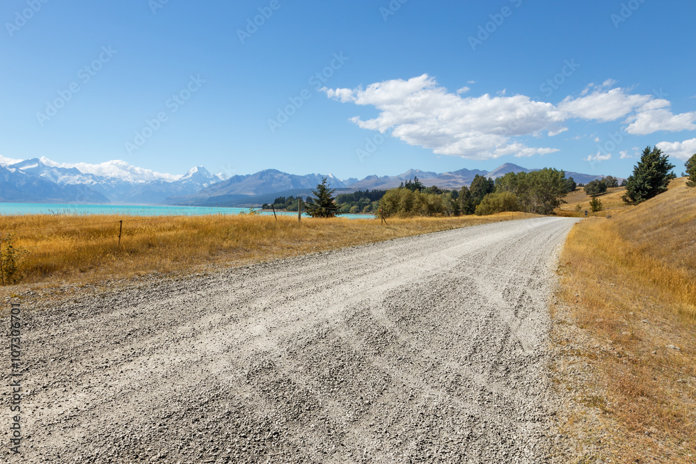 新西兰晴天穿过牧场的空旷乡村道路