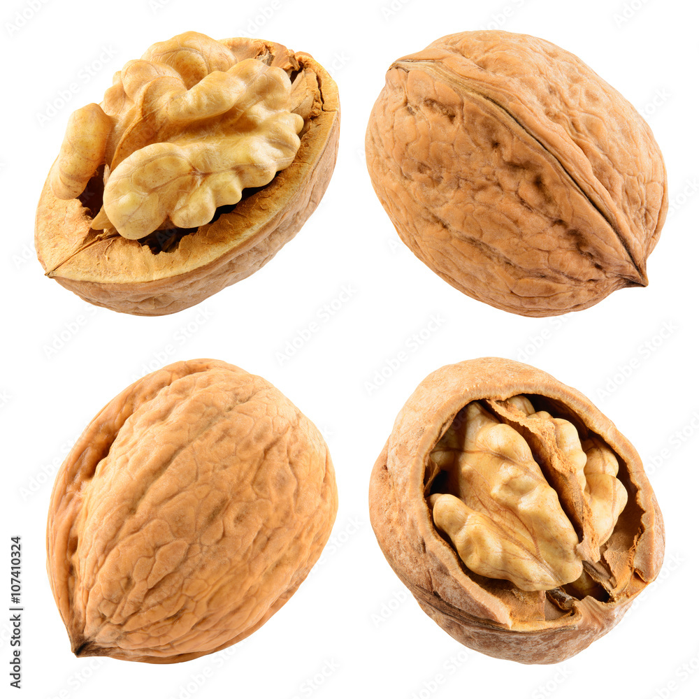  Walnut isolated on the white. With clipping path. Collection.