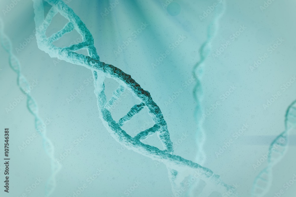 Composite image of view of dna