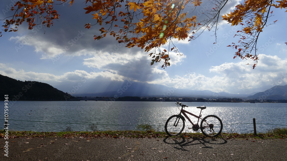 川口县美丽的秋天景色和背景，日本