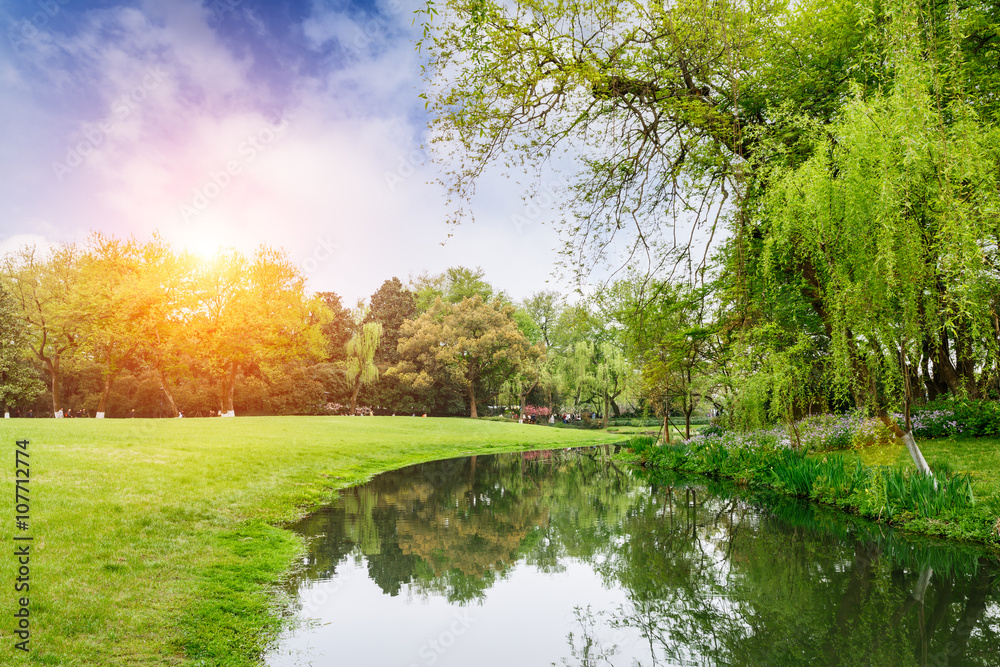 The beautiful green lawn in the spring park