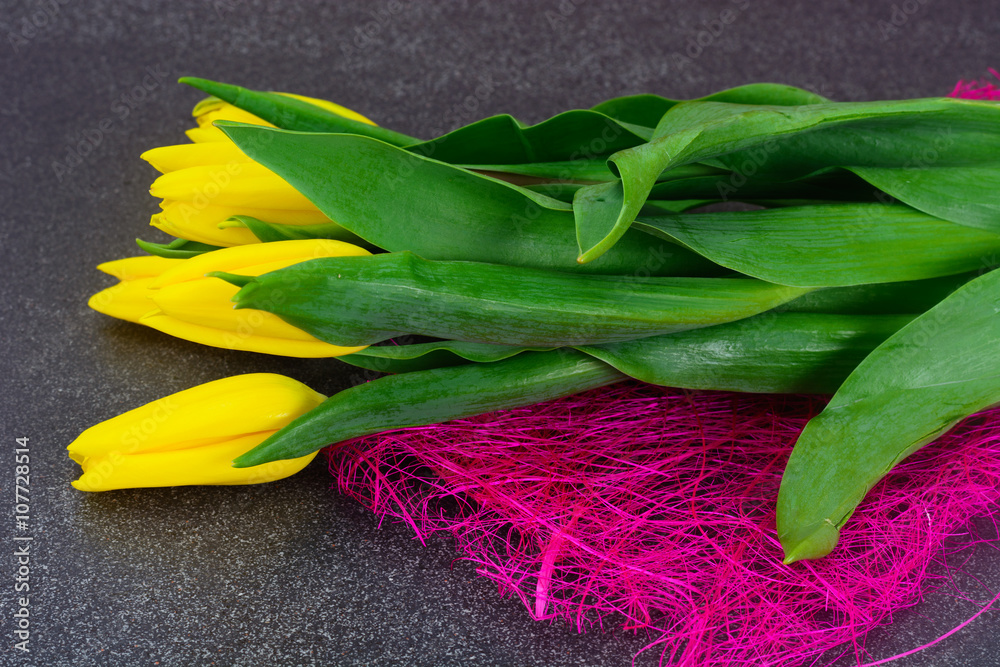  Beautiful Yellow tulips on Dark Background