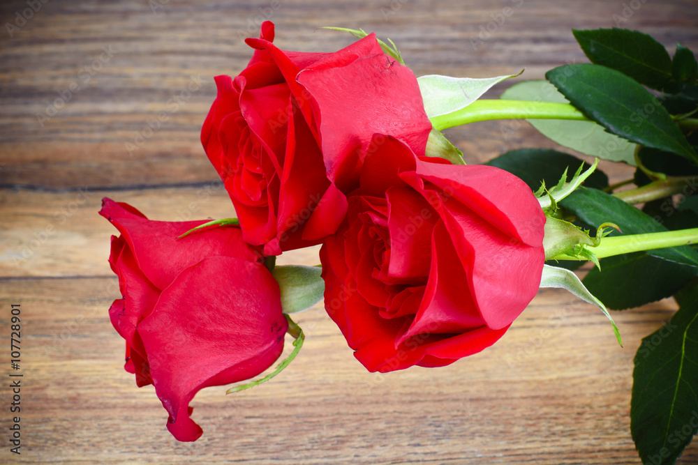 Beautiful Red Roses Flower on Wood