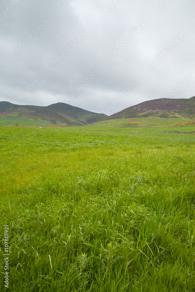 Pentland Hills，斯普林，苏格兰