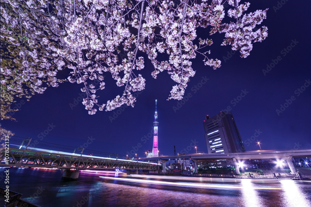 夜桜とスカイツリー