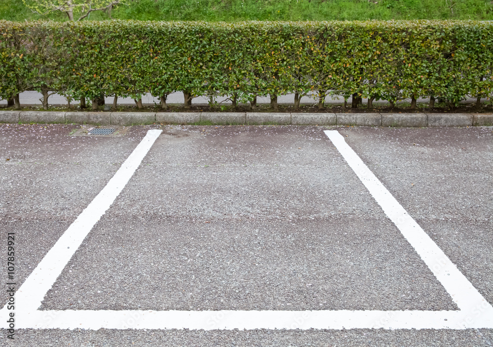 Empty Space in a Parking Lot with flower falling ..