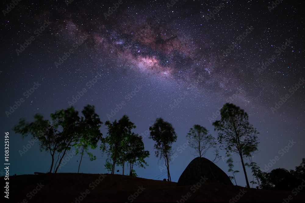 Milky way, night sky with trees and tent on land.