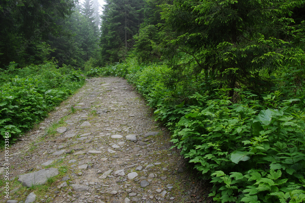 山中石路