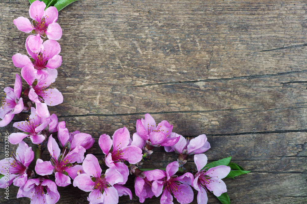 Spring blossoms