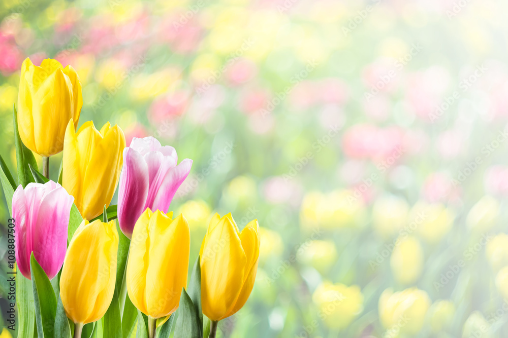 Soft Spring Floral Background