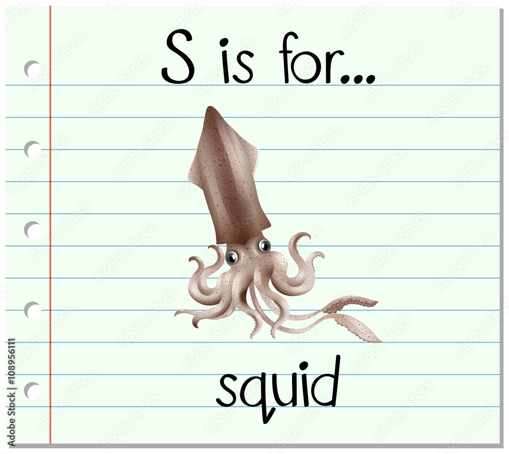 Flashcard letter S is for squid