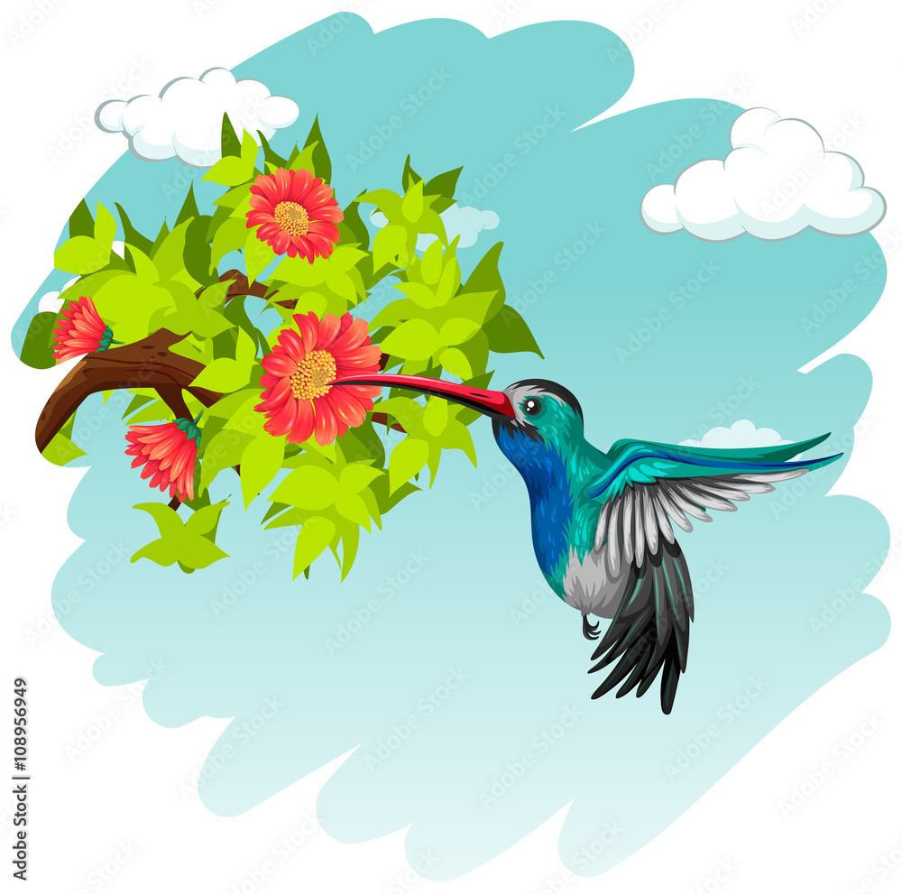 Hummingbird flying around the flowers