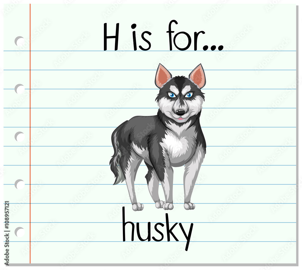 Flashcard letter H is for husky