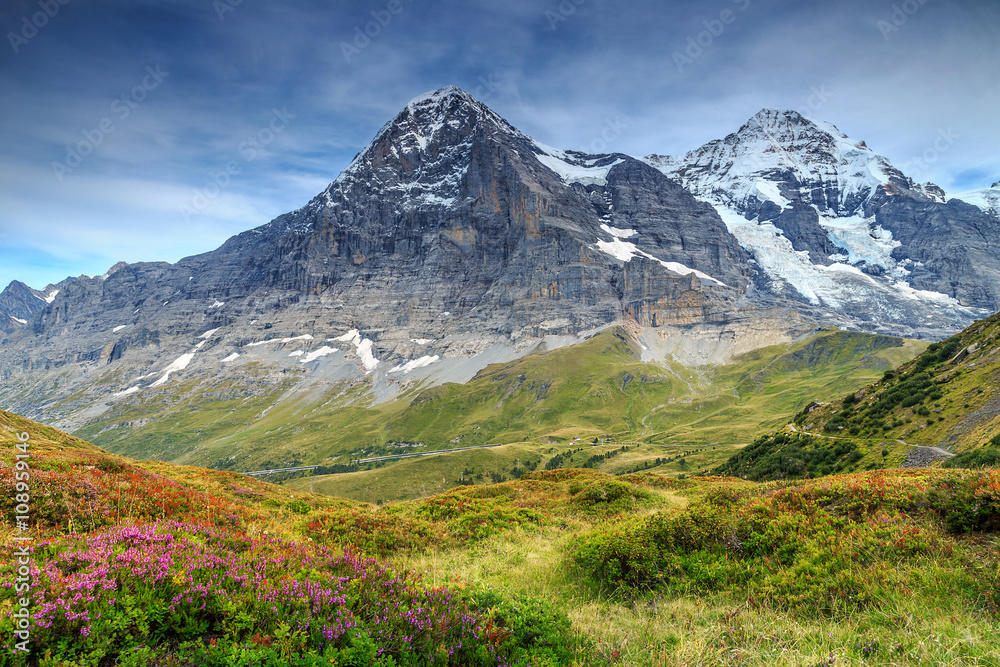 Spectacular alpine landscape with mountain flowers,Switzerland,Europe