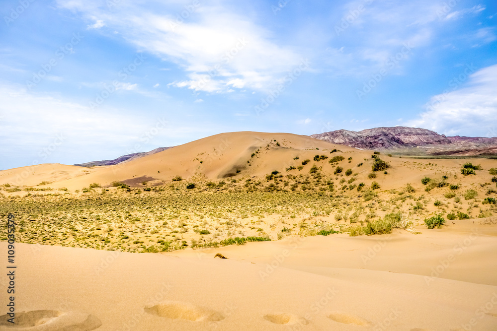 sand dune with bushes on a background of mountains