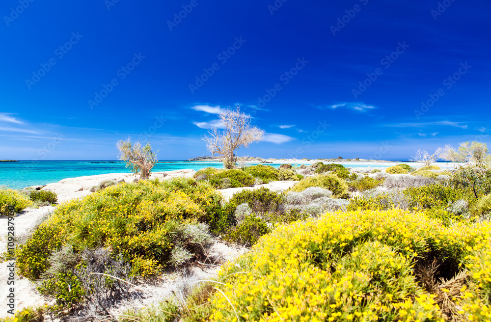 Ελαφονήσι - Elafonisi Beach