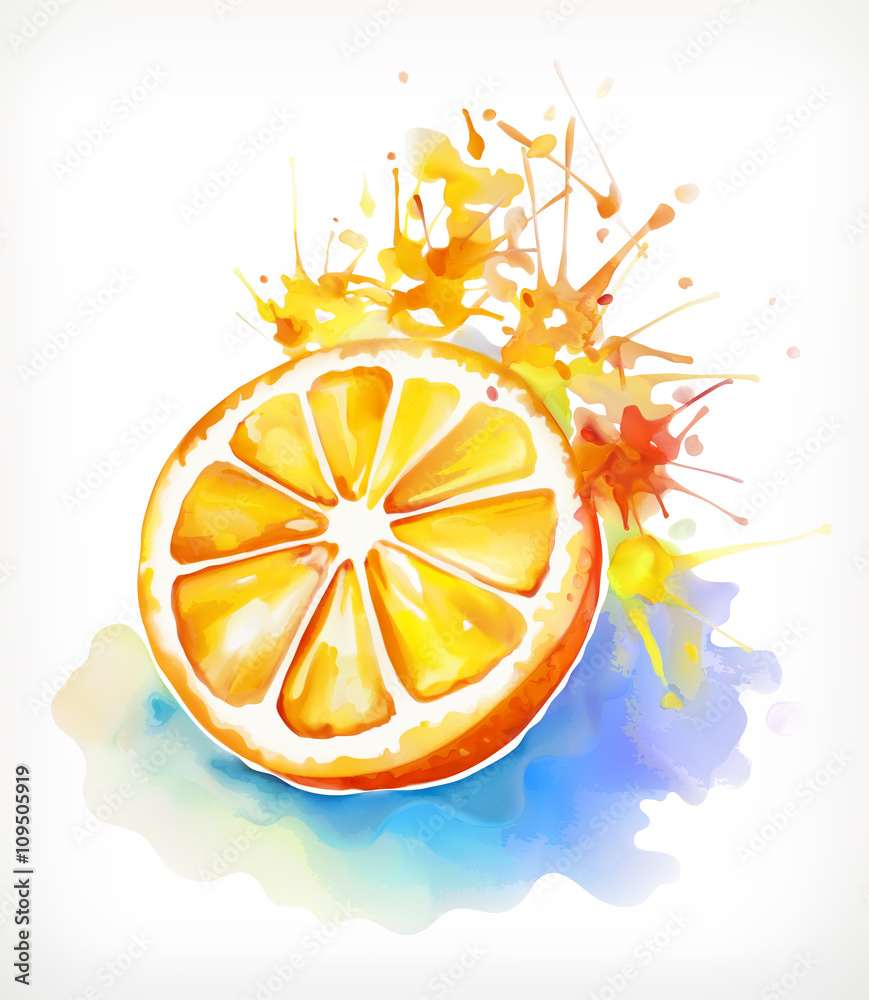 Watercolor painting, juicy orange, vector illustration isolated on a white background