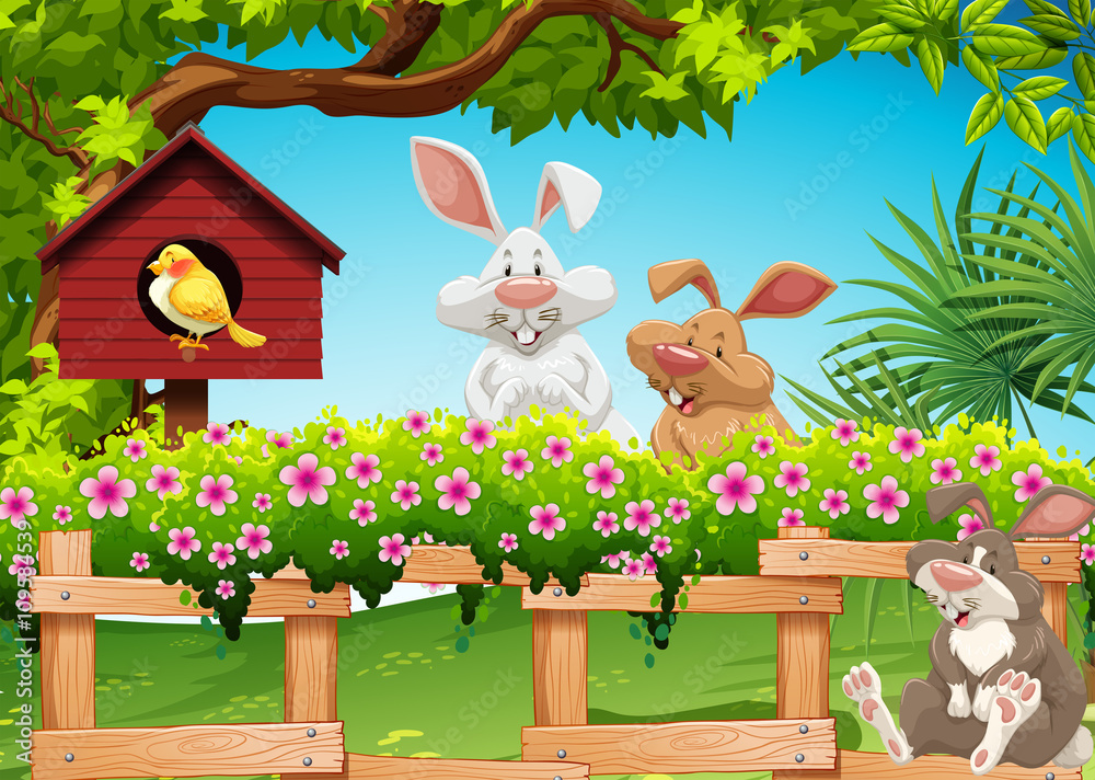 Three rabbits in the garden