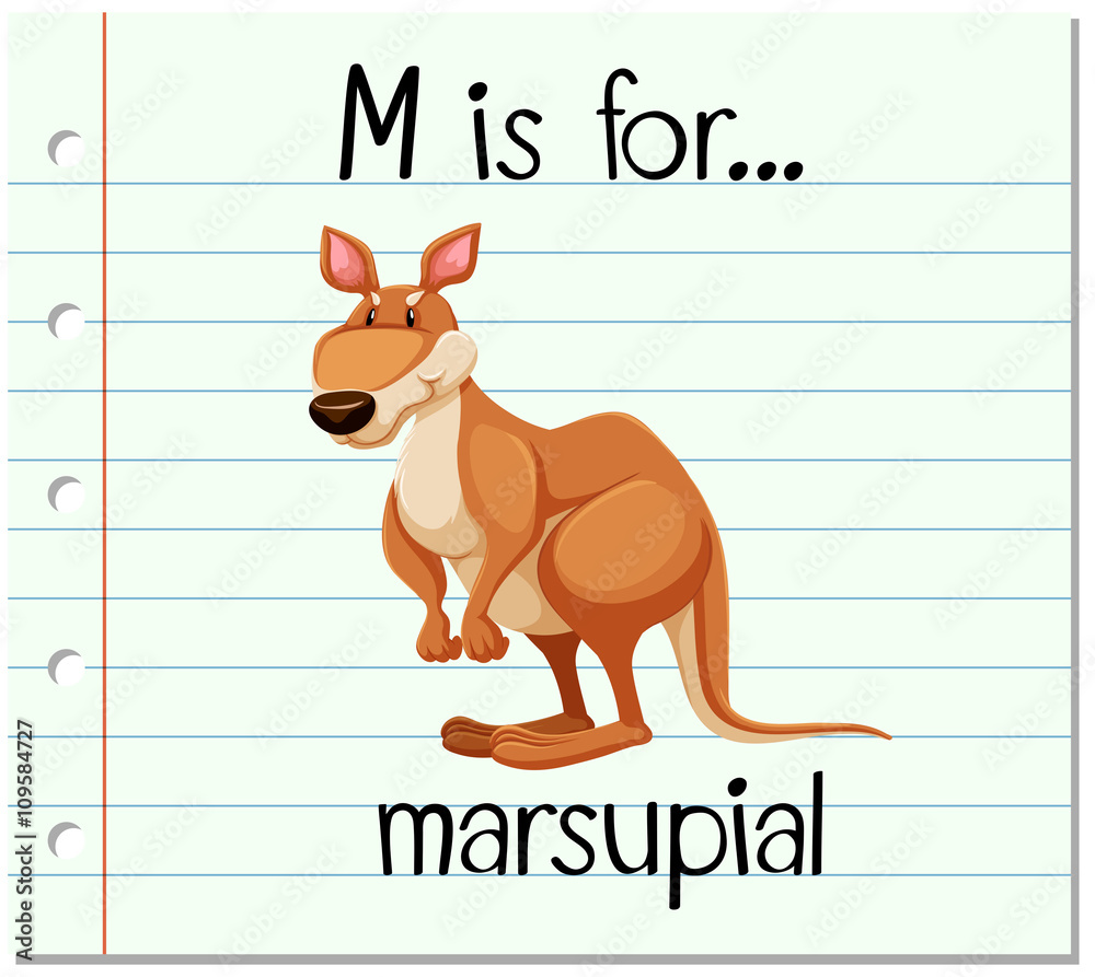 Flashcard letter M is for marsupial