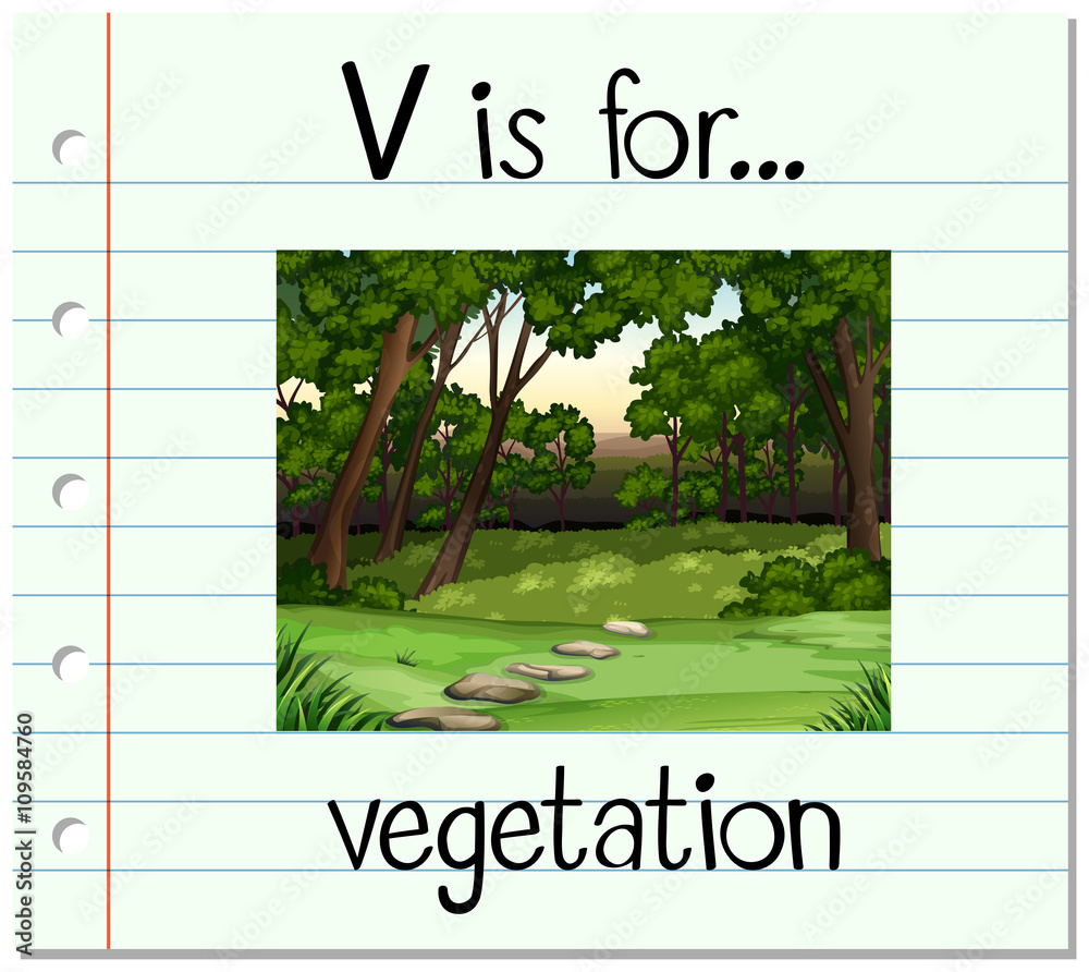 Flashcard letter V is for vegetation