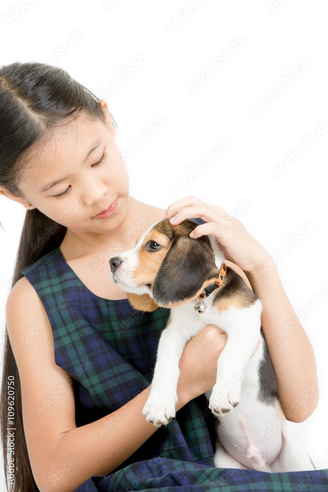 Happy Asian girl playing with beagle puppy on isolated background