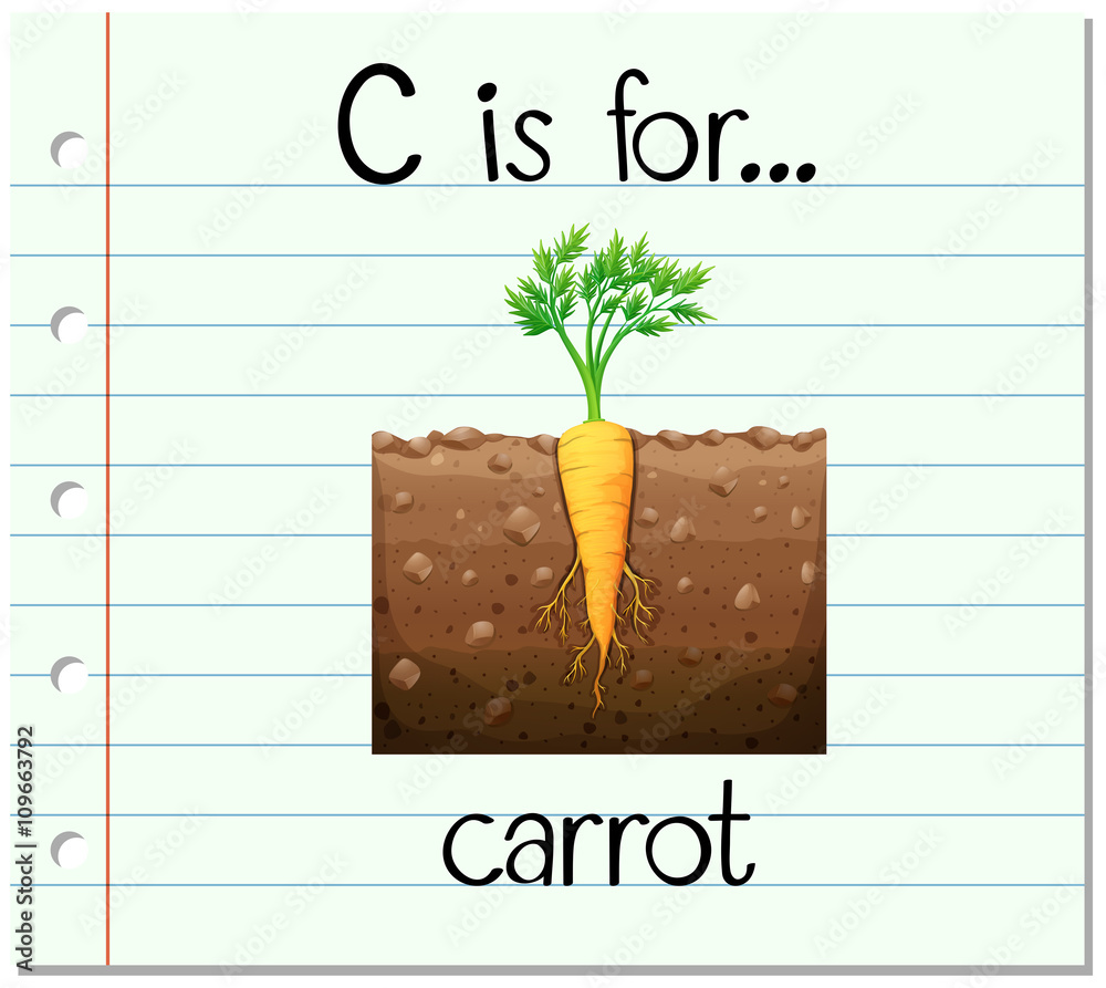 Flashcard alphabet c is for carrots