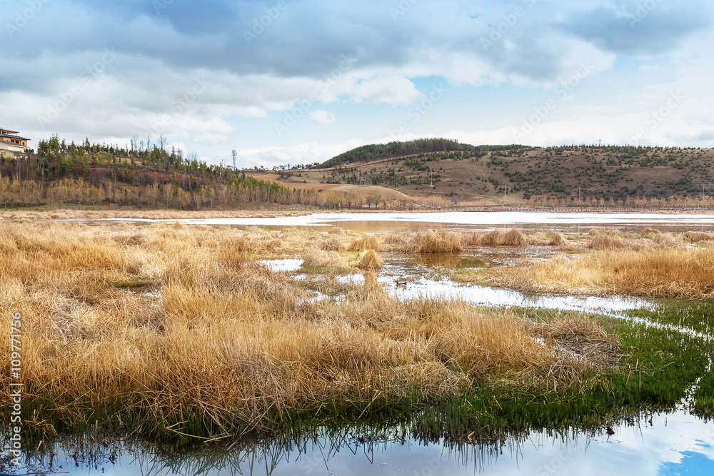 Scenic mounds of dry grass in the autume season