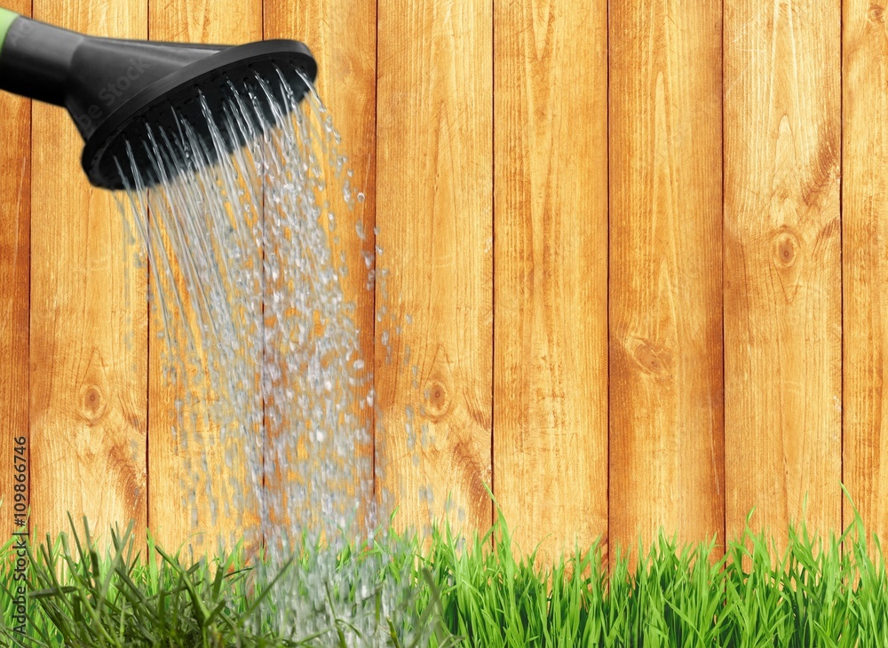 Watering Can.