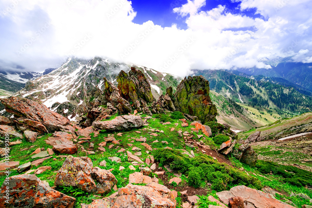 长满苔藓和地衣的巨石山