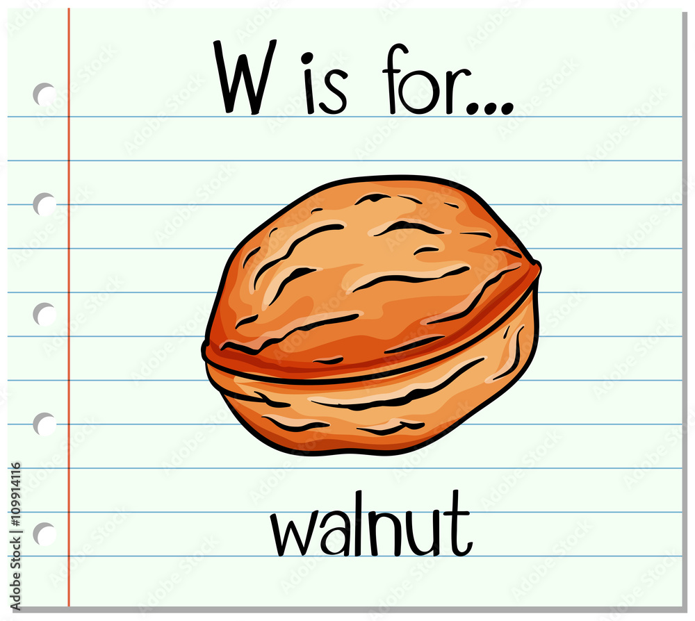 Flashcard letter W is for walnut