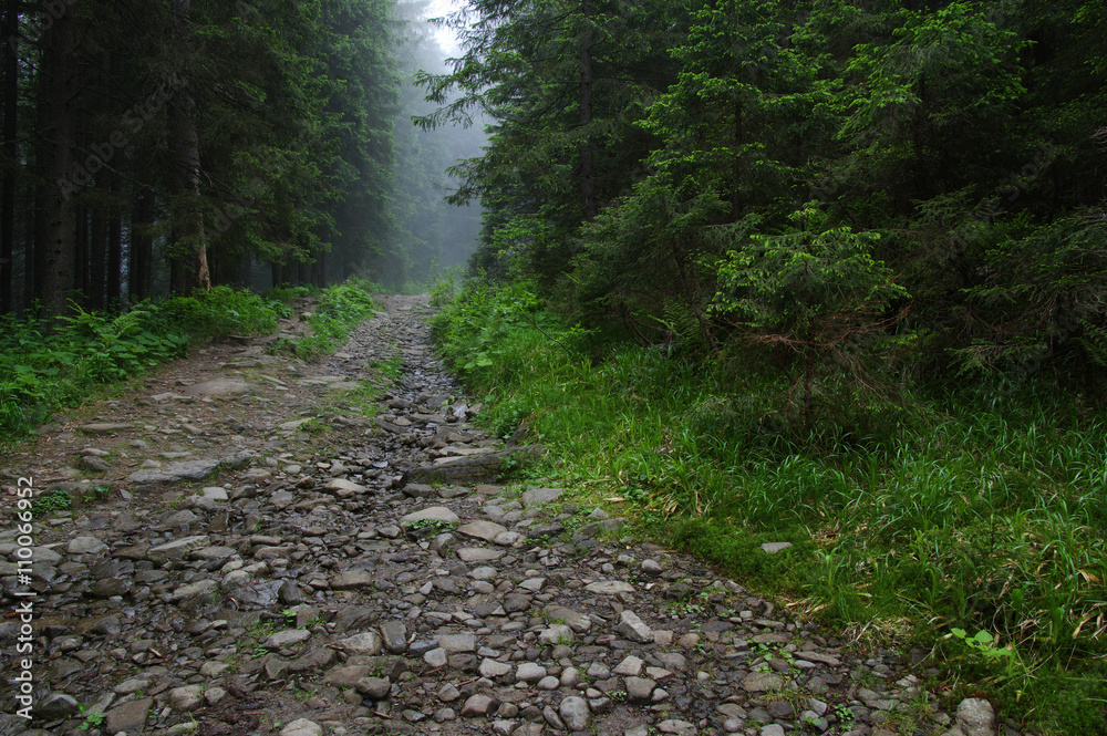 山中石路