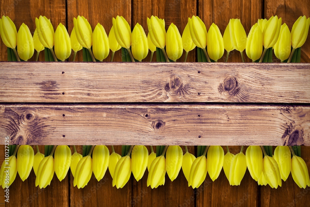 Composite image of yellow tulips