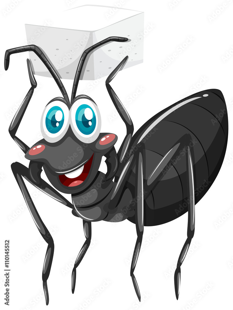 Black ant holding sugar cube