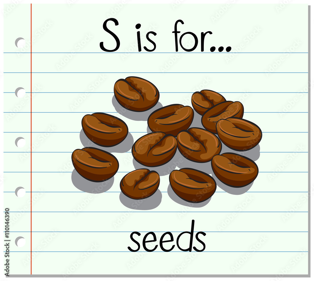 Flashcard letter S is for seeds