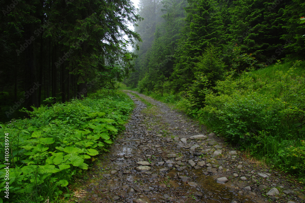 山中石路