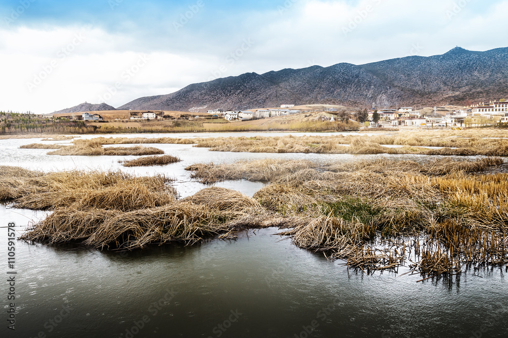 秋季田地