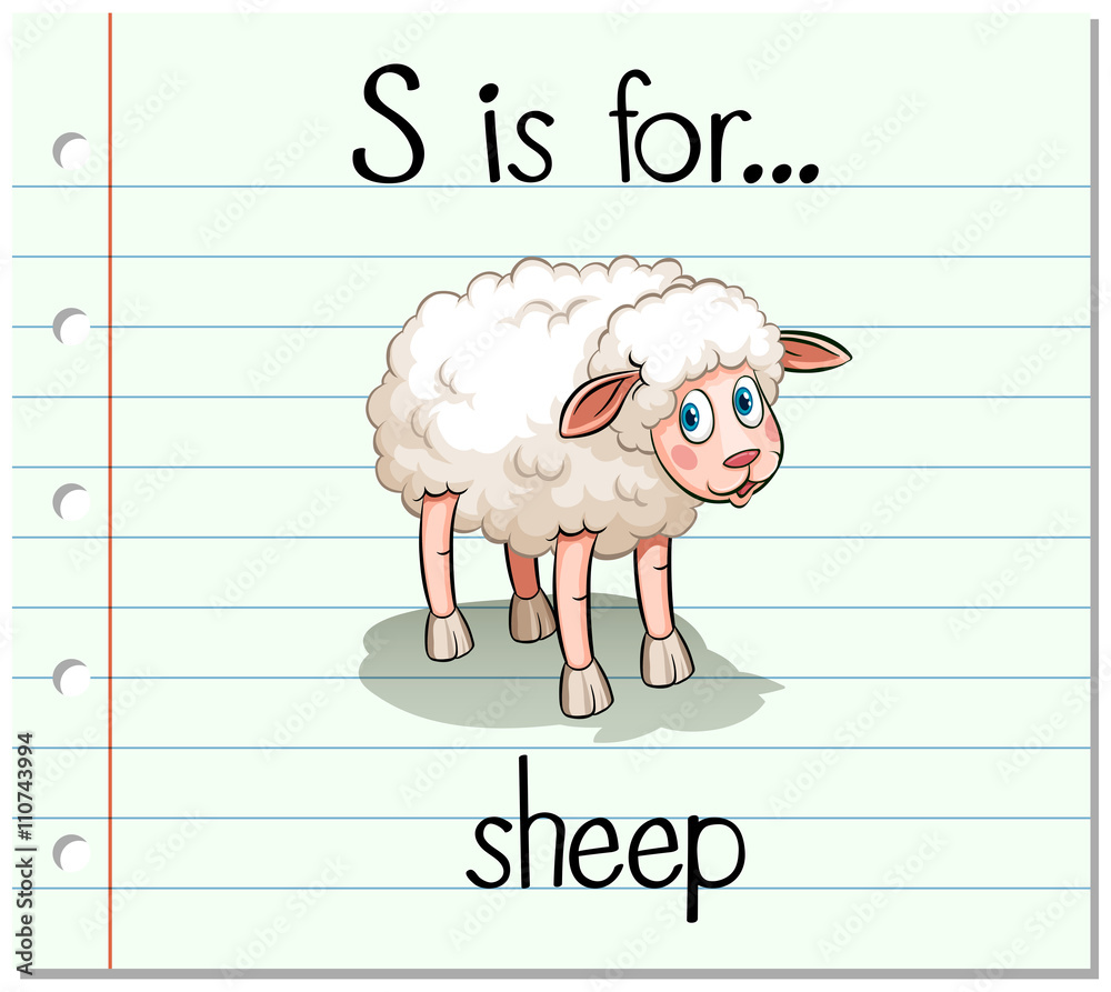 Flashcard letter S is for sheep