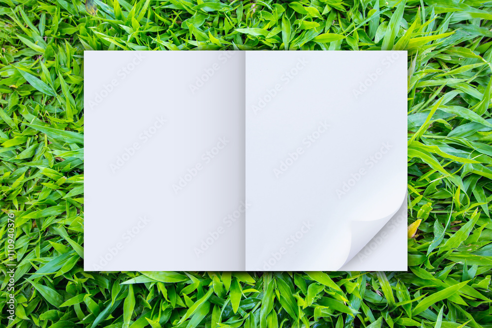  top view open blank paper on grass