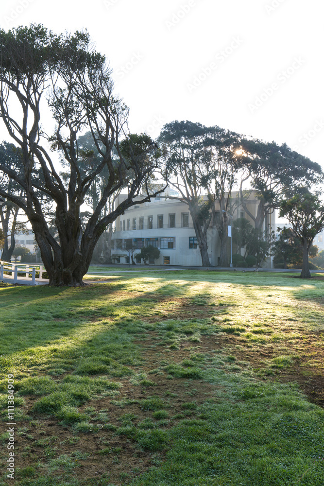 house in green grassland in sunny day