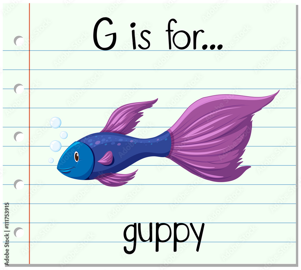 Flashcard letter G is for guppy