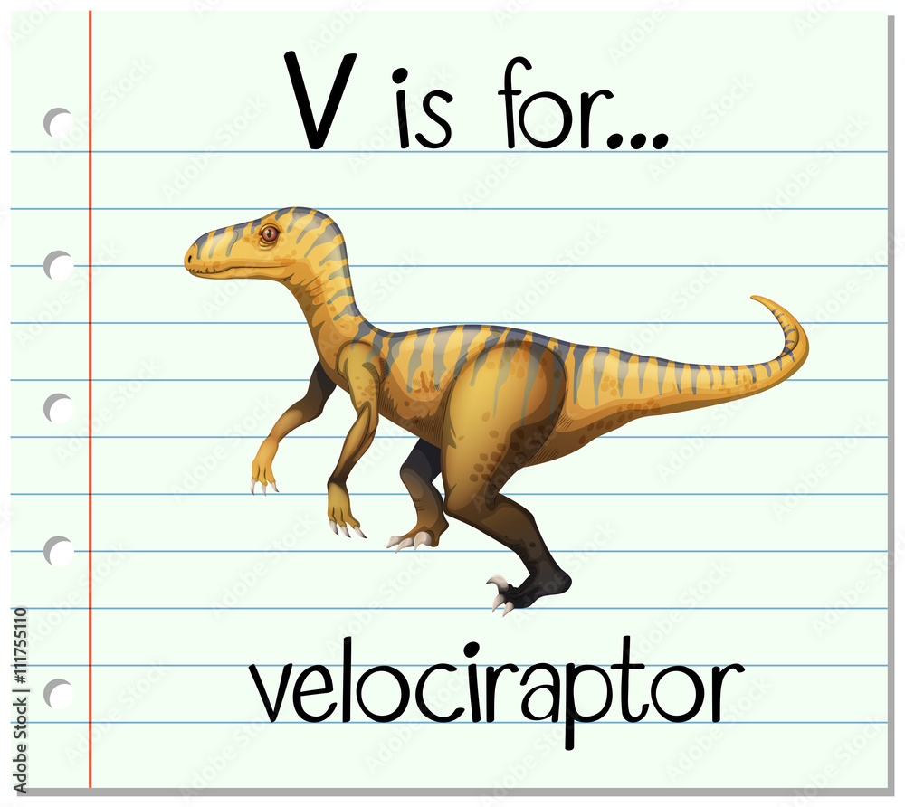 闪存盘字母V代表迅猛龙