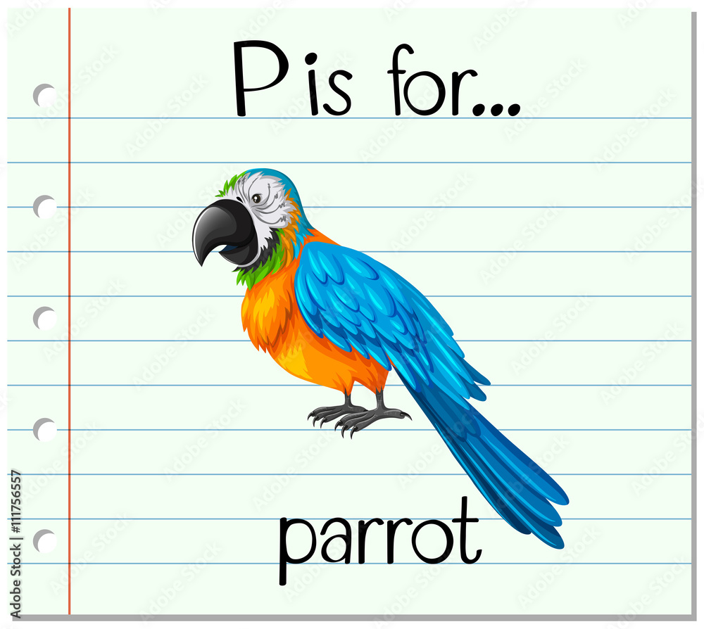 Flashcard letter P is for parrot