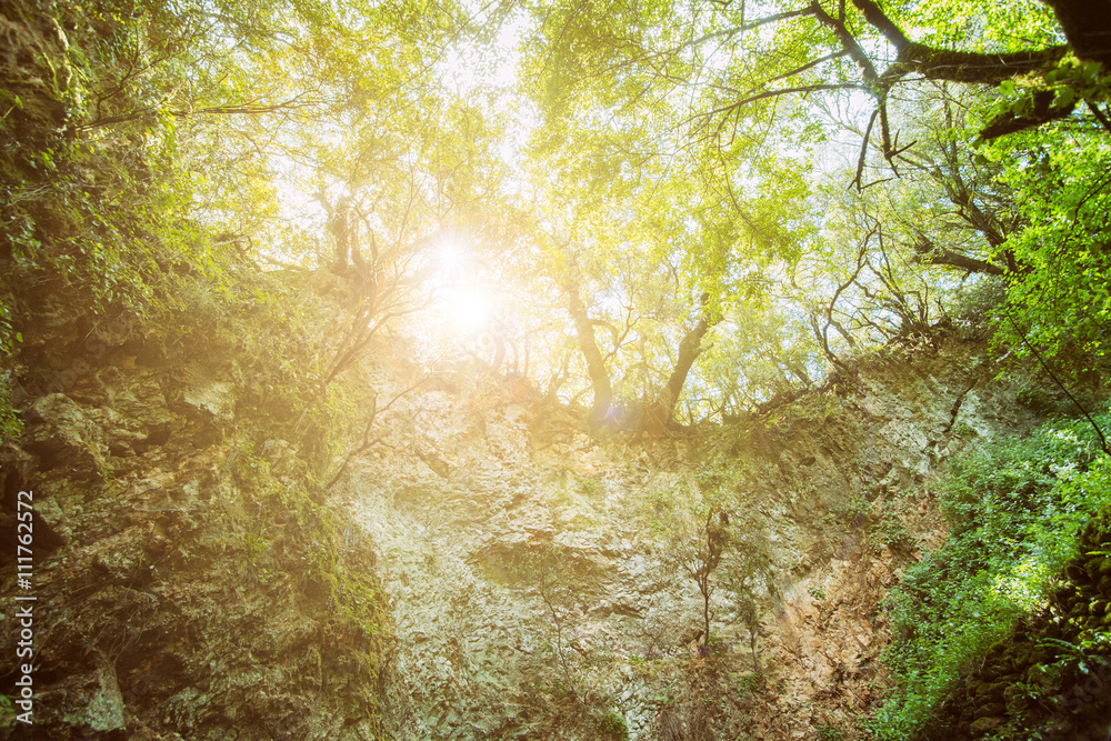 Mystery forest with entrance to the cave, sunlight landscape