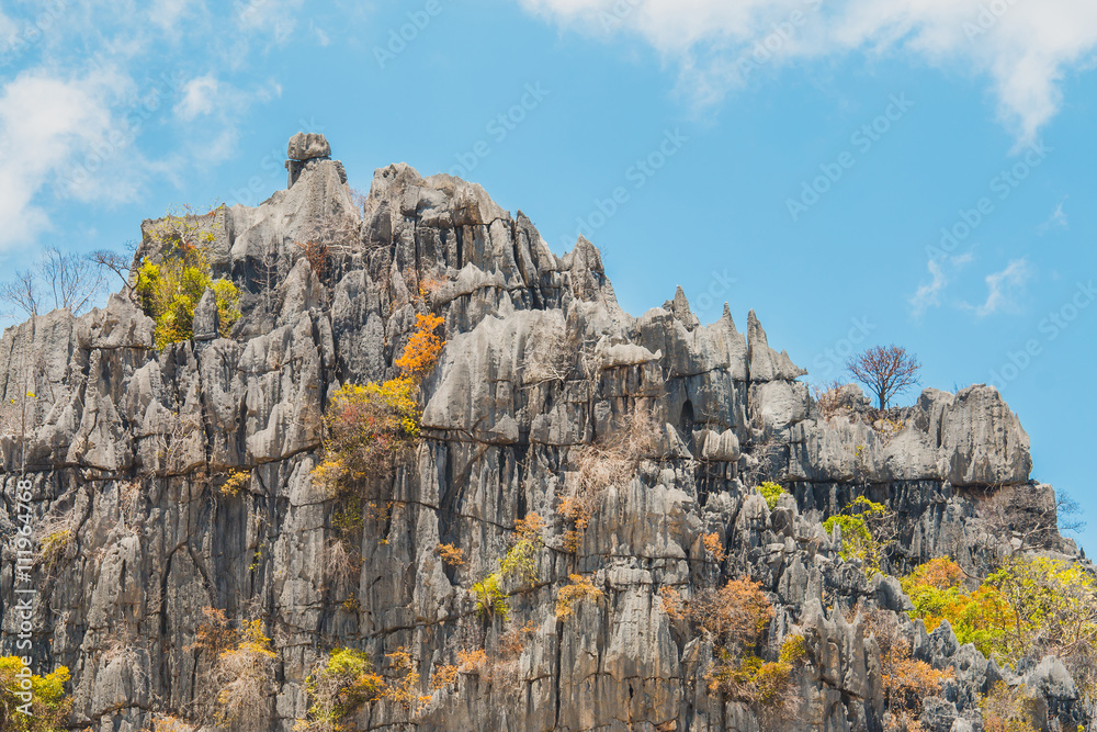 石灰岩山脉和岩石上的树木，悬崖石灰岩