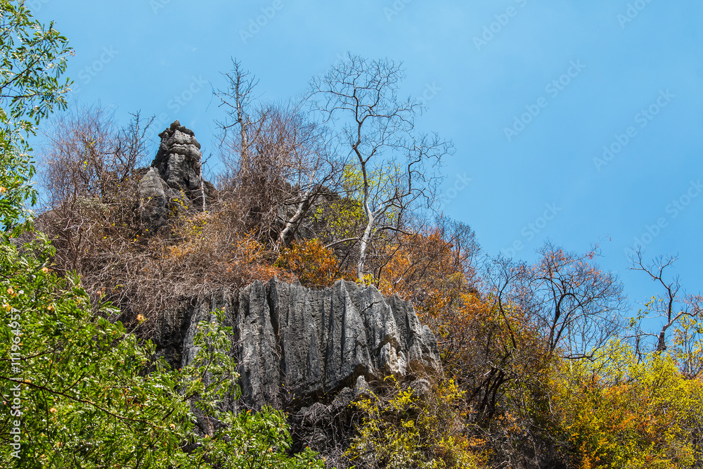 石灰岩山脉和岩石上的树木，悬崖石灰岩