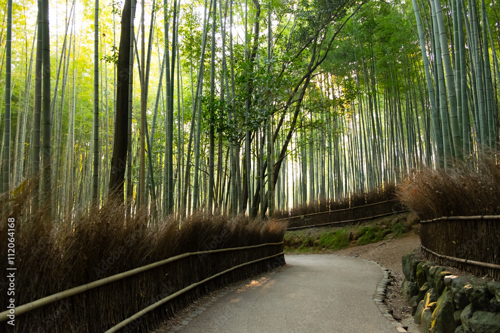 嵐山の竹林