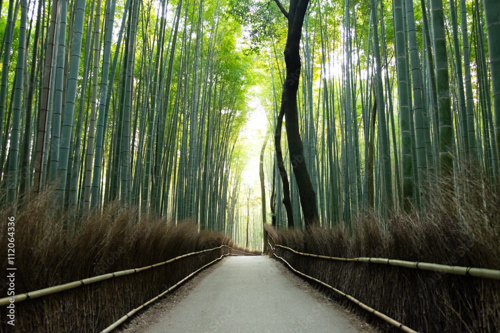 嵐山の竹林