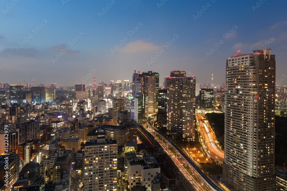 东京城市景观和东京夜晚的天空之树