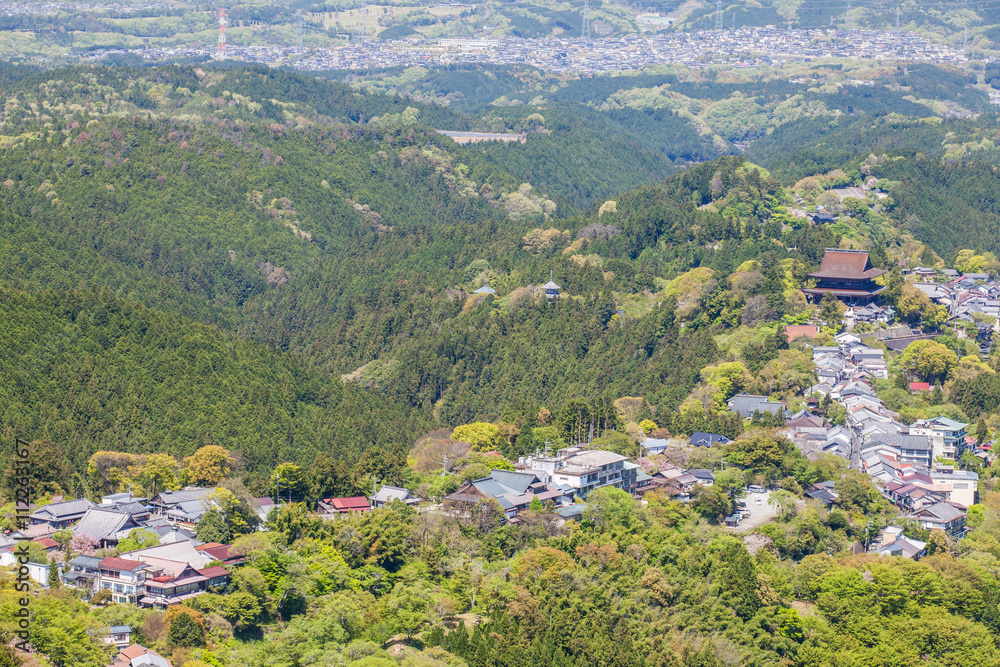 奈良县的吉野山和吉野镇是日本最著名的樱花点